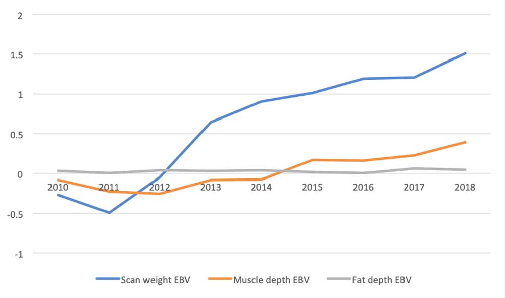 Summary of Easy Care flocks genetic gain graph